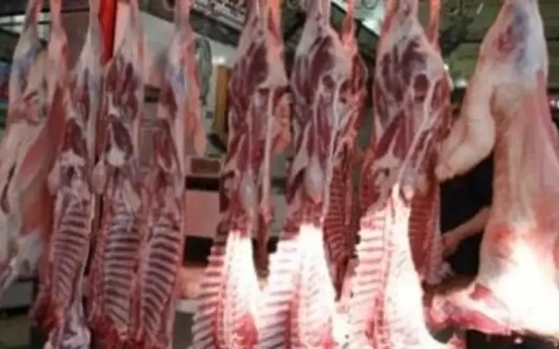 اللحم بـ250 جنيها.. أسعار اللحوم بكفر الشيخ اليوم السبت 28 مارس 2026